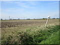 Flat landscape near Bursea Lane End