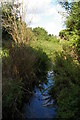 Tributary of the Chaffinch Brook, in Elmers End Recreation Ground