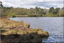 SU9353 : Henley Park Lake by Alan Hunt