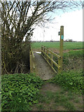TM1453 : Footpath to Rectory Road by Geographer