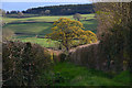 West Somerset : Winnibrook Lane