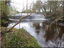 N4105 : Weir on the Owenass River by Oliver Dixon