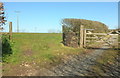 Field and farm track, Staddon