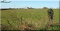 Field and house by Staddon Road