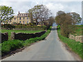 Country road near Pateley Bridge (6)