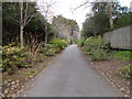 Cherry Tree Walk - West Overcliff Drive