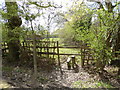 Footpath goes south from bridleway