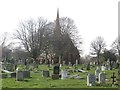 Graves in Anfield Cemetery