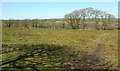 Field near Cookbury Wick