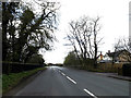 Norwich Road, Barham