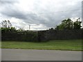 Stone boundary wall at Shotleyfield