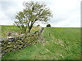 Footpath from Owlers Wood to Lower Holme, Slaithwaite