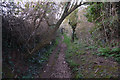 West Somerset : Footpath