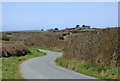 Lane to Hardisworthy, Devon