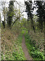 Footpath to Sandy Lane