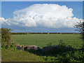 TF9139 : Storm cloud over Great Walsingham, Norfolk by Richard Humphrey