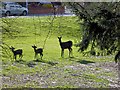 Grindsbrook Deer