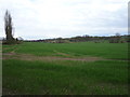 TL3001 : Crop field off Northaw Road East (B156) by JThomas
