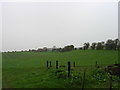 Fields near New Barn Farm