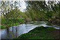 River Great Ouse, Newport Pagnell