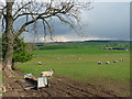 Farmland near Broughton