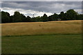 TQ3870 : View off the Green Chain walk, southern edge of Beckenham Place Park by Christopher Hilton