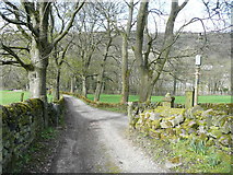 SE0225 : Hob Lane, Mytholmroyd by Humphrey Bolton