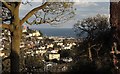 Torquay from St Michael