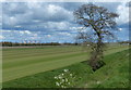 Farmland next to the Fossdyke Canal