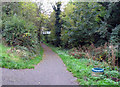 Cuckoo Trail goes underneath a footbridge