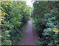 Cuckoo Trail southwards from a footbridge