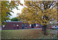 Fallen leaves at Swallowdale Primary School