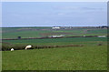 Devon farmland near Welcombe