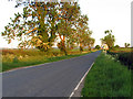 SP7491 : Bowden Road towards Market Harborough by Andrew Tatlow