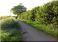 SP7590 : Great Bowden Lane towards Welham from Langton Brook by Andrew Tatlow