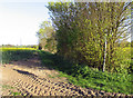 Footpath towards Hole Farm