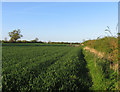 Field, hedge and triangulation pillar