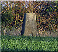 Great Sampford triangulation pillar