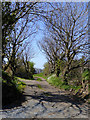 Track and public footpath south of Mead, Devon