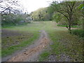 Woods Meadow, Leybourne Woods