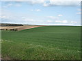 Rolling farmland off Bragbury Lane