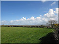 Field near Tredrissi, Nevern