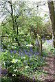 In old All Saints Church graveyard