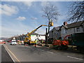 Cutting down one of Caerphilly Rd