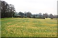 Farmland by Four Oaks Rd