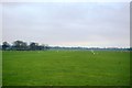 Runway, Headcorn Aerodrome