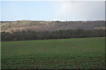 TQ1247 : Looking towards The North Downs by N Chadwick