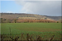 TQ1247 : Looking towards the North Downs by N Chadwick