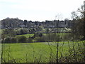 TL1813 : Wheathampstead Allotments by Geographer