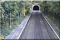 Lydden Tunnel